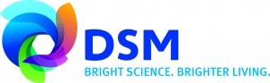 DSM_MasterLogoCS3