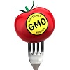 GMOa