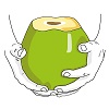 HH Coconut