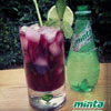 Minta_100