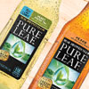 PureLeaf_100