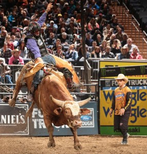CHICKEN COCK WHISKEY BULL RIDING
