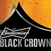 Budweiser's Innovation Examination
