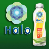 halo163x163 halo163x163