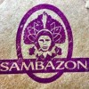 Fleishman, Chief Marketing Officer, Leaves Sambazon