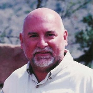 Norm Snyder, Adina CEO
