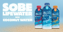 sobe210x108