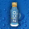 zico_100